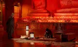 Ám Thuật: Xác Sống Săn Mồi