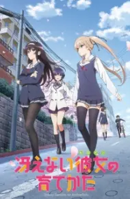 Saenai Heroine No Sodatekata