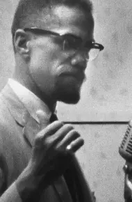 Ai Đã Giết Malcolm X?