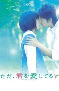 Tấm Ảnh Tình Yêu