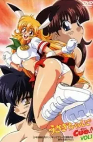 Usagi-Chan De Cue!!