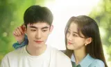 Câu Chuyện Tình Yêu Tuyệt Đẹp