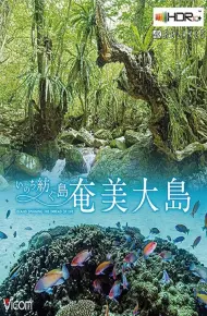 Đảo Amami Oshima