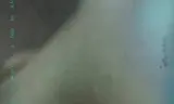 Đêm Hè ẩm ướt