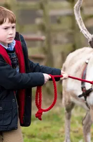 Truy Đuổi Ông Già Noel