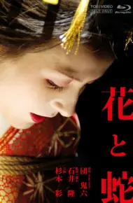 Hoa Và Rắn