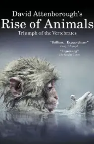 David Attenborough'S Rise Of Animals: Triumph Of The Vertebrates