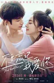 Đừng Quên Anh Yêu Em