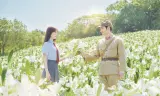 Nếu Gặp Lại Em Trên Ngọn Đồi Hoa Nở