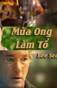 Mùa Ong Làm Tổ