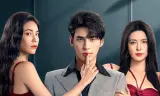 Sự Phản Công Của Phụ Nữ
