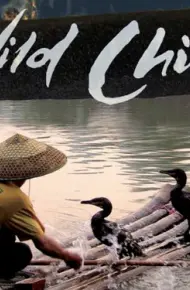 Thiên Nhiên Hoang Dã Trung Quốc