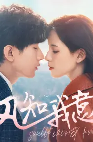 Gió Nam Hiểu Lòng Tôi