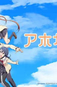Cô Nàng Ngốc - Aho Girl