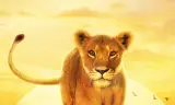 Serengeti