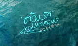 Phải Lòng Đại Dương