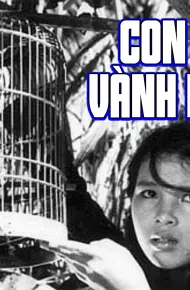 Con Chim Vành Khuyên