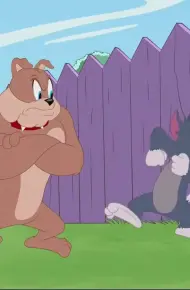 The Tom And Jerry Show (Phần 3)