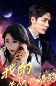 Chồng Cún Con Mất Trí Nhớ