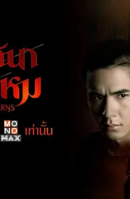 Sợi Len Kỳ Lạ