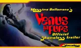 Venus In Furs