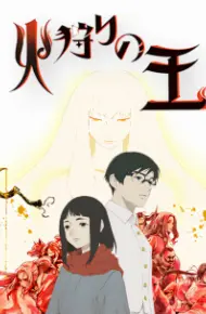 Hikari No Ou 2nd Season