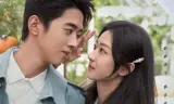 Xin Chào Người Tình Trái Quýt