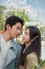 Xin Chào Người Tình Trái Quýt