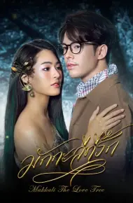 Makkali Yêu Dấu