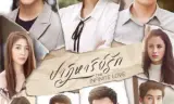 Kỳ Tích Tình Yêu