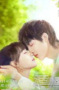 Trợ Lý Thiên Vương