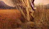 David Attenborough: Thế Giới Bí Mật Của âm Thanh