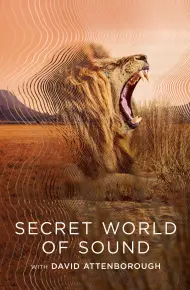 David Attenborough: Thế Giới Bí Mật Của âm Thanh