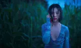 Rừng Không Tiếng