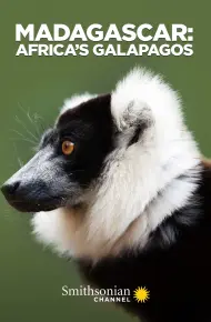 Madagascar: Africa'S Galapagos