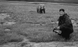 Bi Kịch Hoang Dã