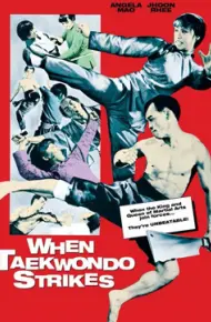 Taekwondo  Chấn Cửu Châu