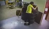 Đừng đùa Với Mèo: Săn Lùng Kẻ Sát Nhân Trên Mạng