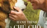 Hành Trình Của Chú Chó Bailey
