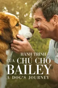 Hành Trình Của Chú Chó Bailey