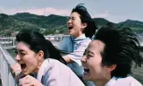 It'S A Summer Film!