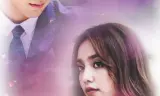 Mệnh Lệnh Thần Tình Yêu