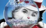 Chú Mèo Đội Mũ