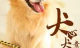 Quyết Tâm Của Chó