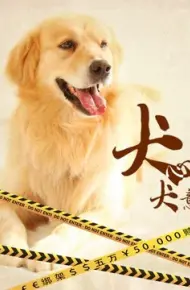 Quyết Tâm Của Chó