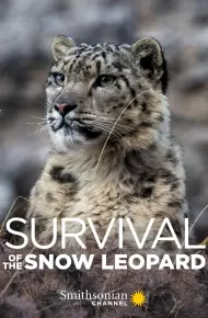Survival Of The Snow Leopard