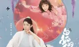 Nhân Sinh Của Bạch Hồ Ly