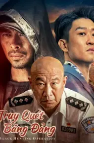 Truy Quét Băng Đảng