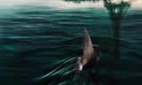 Phía Dưới Sông Seine