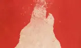 Thảm Sát Tại Snow Hollow